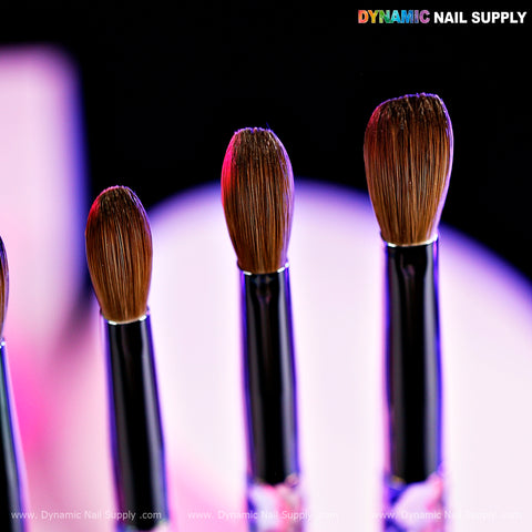 (Clear Handle) Dynamic Pure Kolinsky Hair Brush - (Crimped or Not) for Acrylic Nails Application