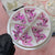 Pink/Purple Playb0y Bad Bunny Charms for Nail Art Designer