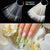50pcs/bag Nail Tips for Colors Chart Display - Dynamic Nail Supply