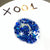 X001 - Christmas Collection - Mixed Glitter Acrylic Powder