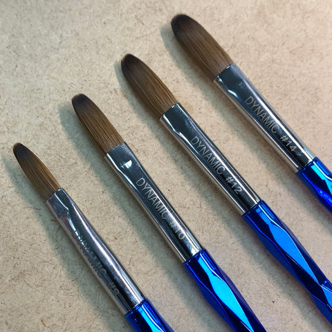 Four paintbrushes are displayed on a wooden surface, each sporting a metallic blue handle and silver ferrule. Their brown, oval bristles make them ideal for acrylic applications. These crimped brushes are from Dynamic Nail Supply and labeled as [Crimped] Dynamic Kolinsky Brush - 100% Pure Kolinsky Hair Brush for Acrylic Nails Application, with sizes #10, #12, and #14 increasing in size from left to right.