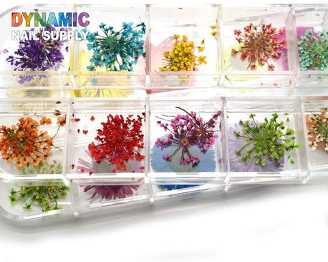 Mix Dried Flowers Nail Decorations Natural Floral Sticker 3D - Dynamic Nail Supply